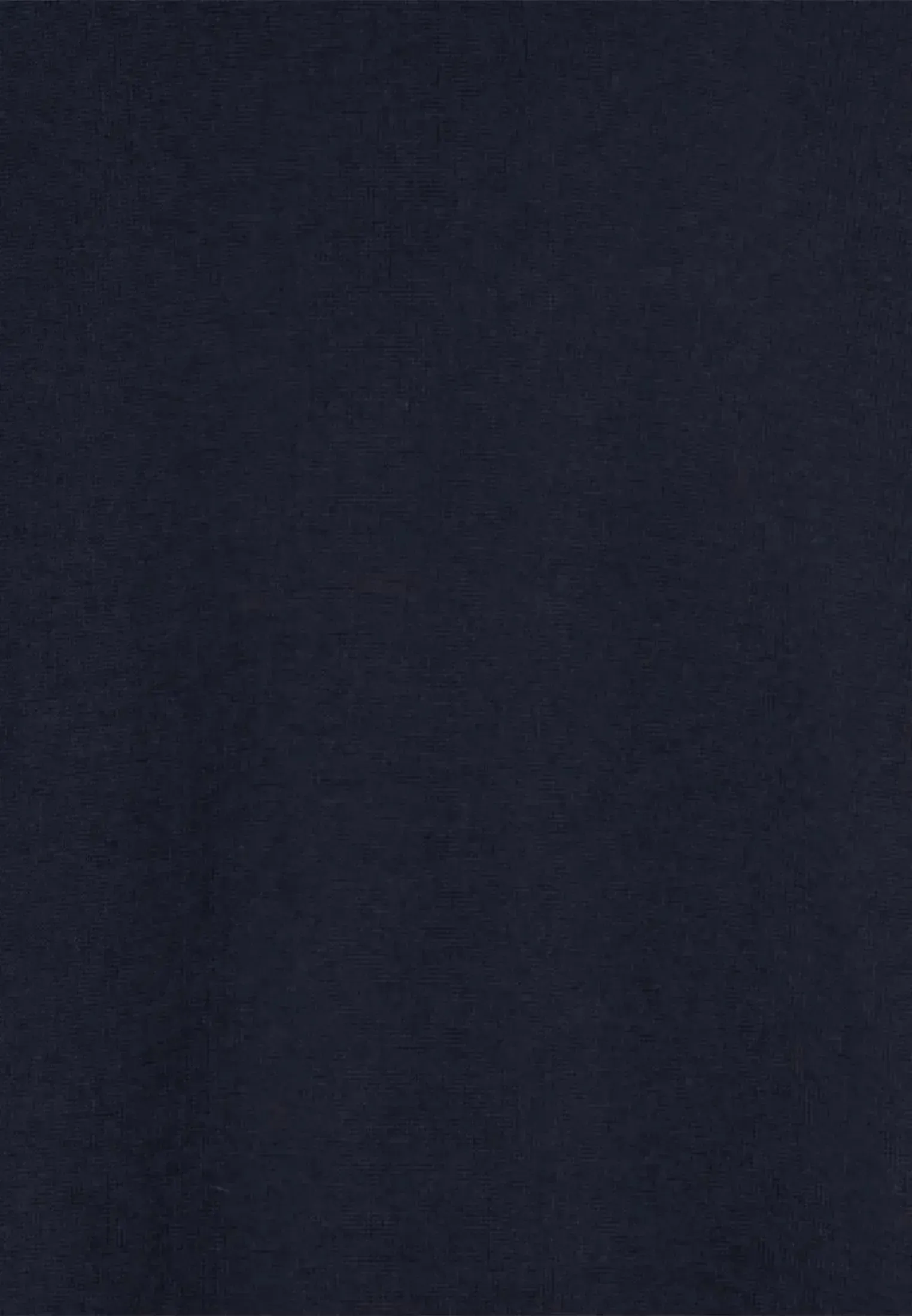Seidensticker Mens Merino Wool Roll Neck Knit Dark Blue - Image 8